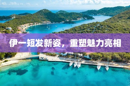 冷美人 第12页