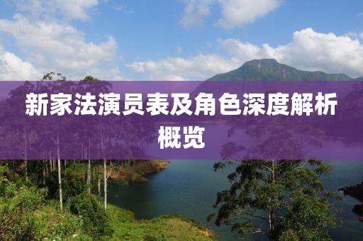 新家法演员表及角色深度解析概览