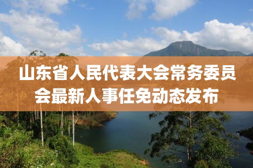 山东省人民代表大会常务委员会最新人事任免动态发布