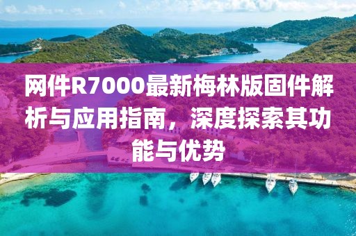 网件R7000最新梅林版固件解析与应用指南，深度探索其功能与优势