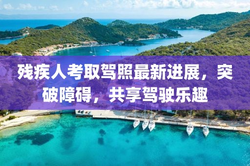 一身傲气王 第10页