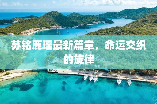 苏铭鹿瑶最新篇章，命运交织的旋律