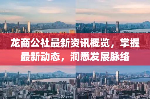 龙商公社最新资讯概览，掌握最新动态，洞悉发展脉络