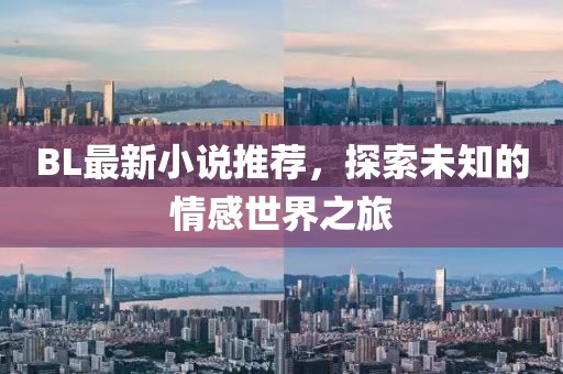 BL最新小说推荐，探索未知的情感世界之旅