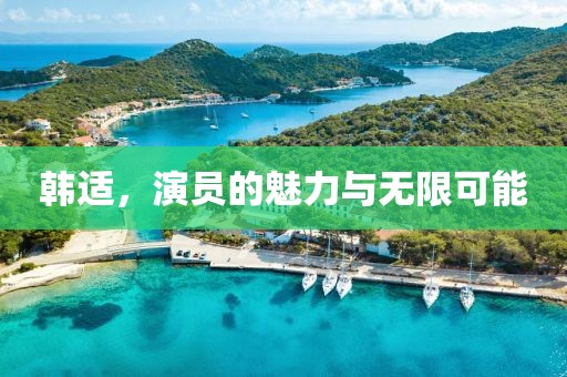 韩适，演员的魅力与无限可能