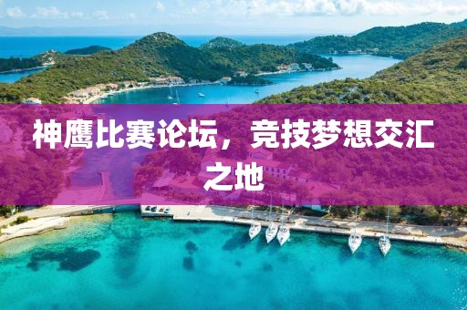 神鹰比赛论坛，竞技梦想交汇之地