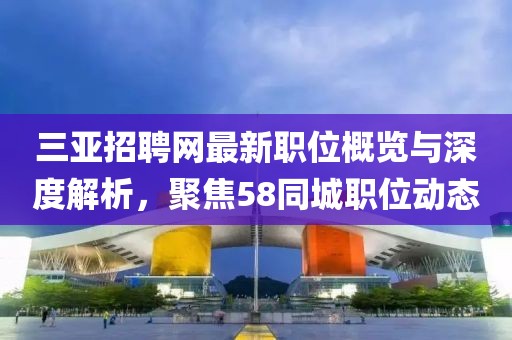 三亚招聘网最新职位概览与深度解析，聚焦58同城职位动态