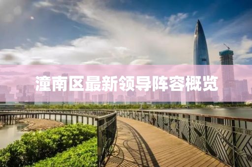 潼南区最新领导阵容概览