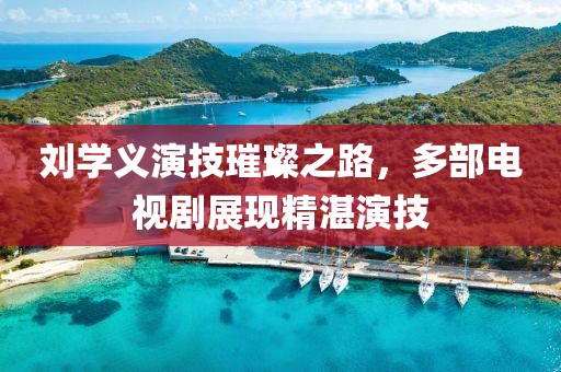 刘学义演技璀璨之路，多部电视剧展现精湛演技