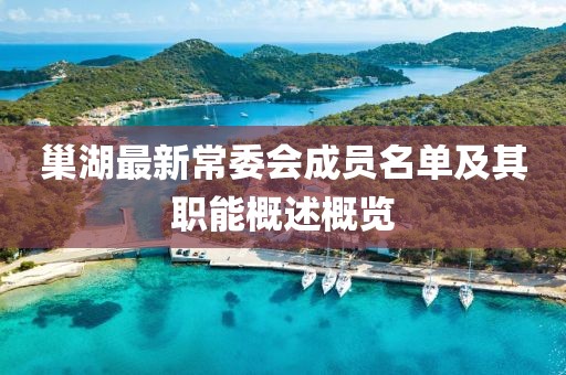 巢湖最新常委会成员名单及其职能概述概览
