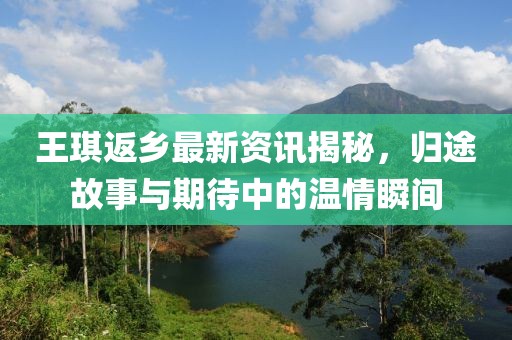 王琪返乡最新资讯揭秘，归途故事与期待中的温情瞬间