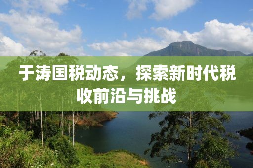 于涛国税动态，探索新时代税收前沿与挑战