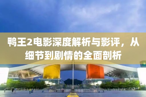 鸭王2电影深度解析与影评，从细节到剧情的全面剖析
