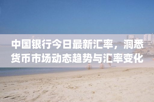 中国银行今日最新汇率，洞悉货币市场动态趋势与汇率变化