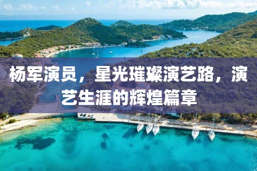 杨军演员，星光璀璨演艺路，演艺生涯的辉煌篇章