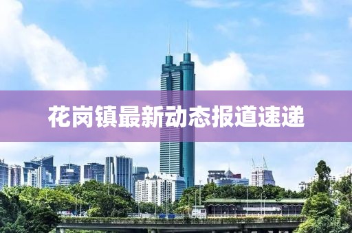 花岗镇最新动态报道速递