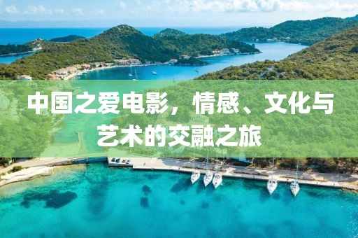 中国之爱电影，情感、文化与艺术的交融之旅