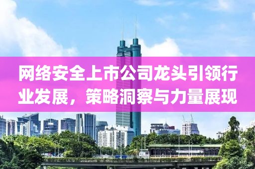 网络安全上市公司龙头引领行业发展，策略洞察与力量展现