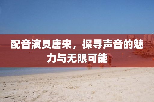配音演员唐宋，探寻声音的魅力与无限可能