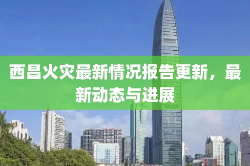 西昌火灾最新情况报告更新，最新动态与进展