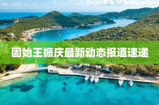 固始王振庆最新动态报道速递