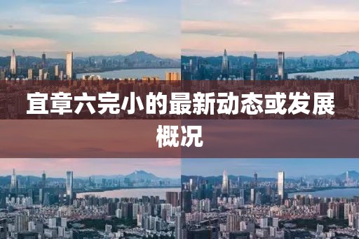 宜章六完小的最新动态或发展概况