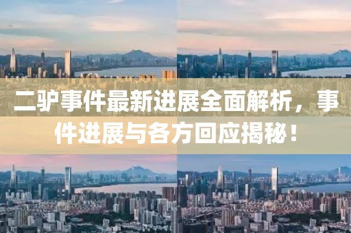 二驴事件最新进展全面解析，事件进展与各方回应揭秘！