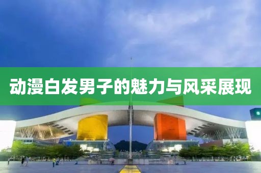 动漫白发男子的魅力与风采展现