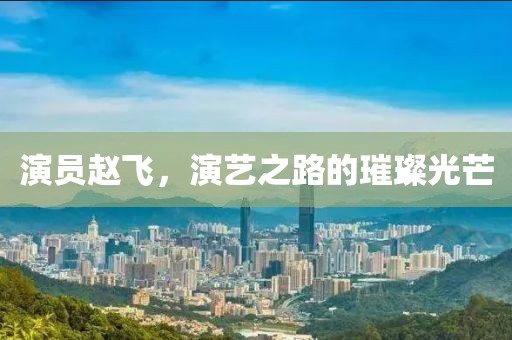 演员赵飞，演艺之路的璀璨光芒