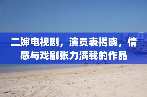 二婶电视剧，演员表揭晓，情感与戏剧张力满载的作品