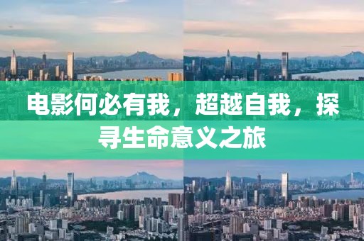 电影何必有我，超越自我，探寻生命意义之旅