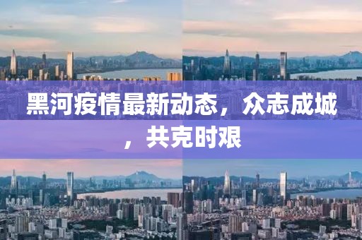 黑河疫情最新动态，众志成城，共克时艰