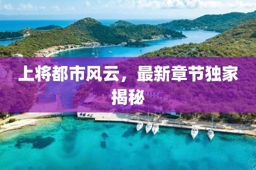 上将都市风云，最新章节独家揭秘