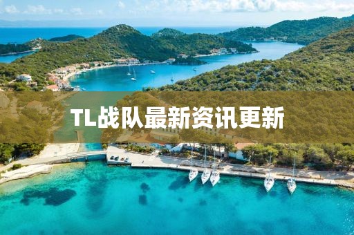 TL战队最新资讯更新