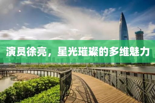 演员徐亮，星光璀璨的多维魅力