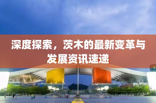 深度探索，茨木的最新变革与发展资讯速递