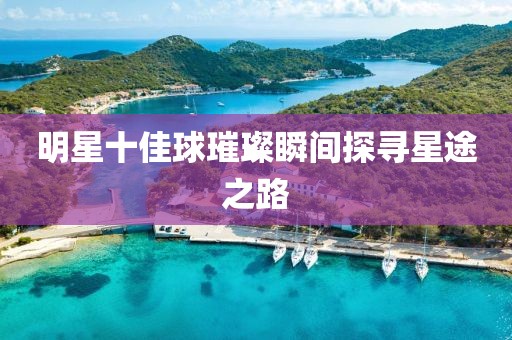 明星十佳球璀璨瞬间探寻星途之路