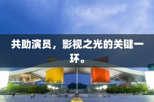 共助演员，影视之光的关键一环。