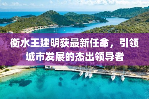 衡水王建明获最新任命，引领城市发展的杰出领导者