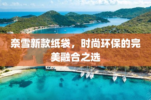 奈雪新款纸袋，时尚环保的完美融合之选