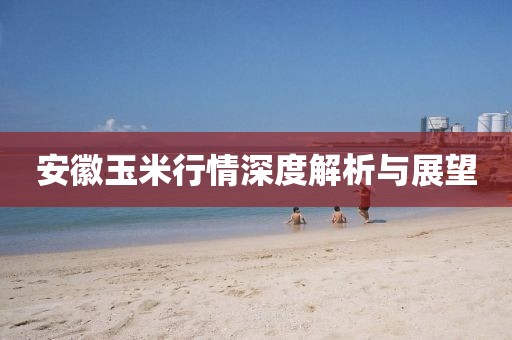 安徽玉米行情深度解析与展望