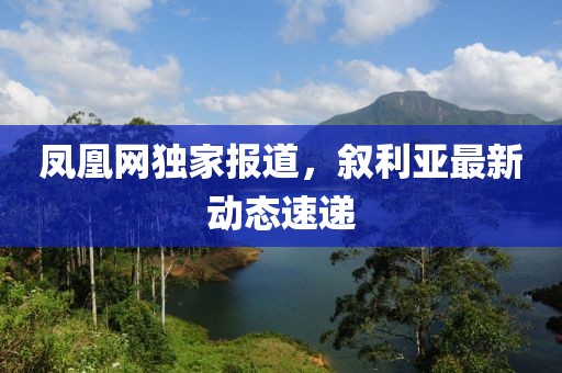 凤凰网独家报道，叙利亚最新动态速递