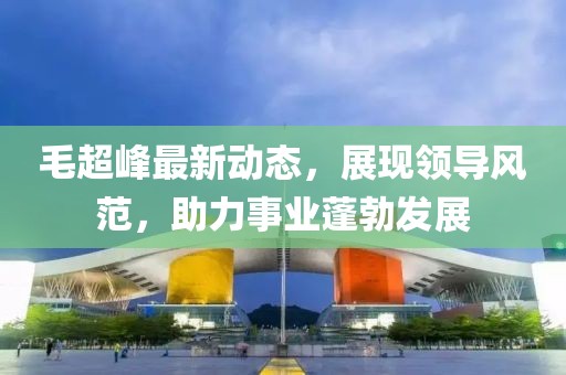 毛超峰最新动态，展现领导风范，助力事业蓬勃发展
