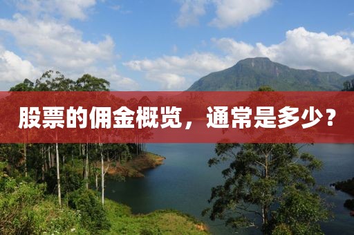 股票的佣金概览，通常是多少？