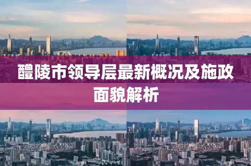 醴陵市领导层最新概况及施政面貌解析