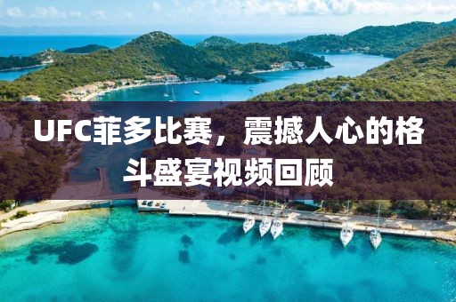UFC菲多比赛，震撼人心的格斗盛宴视频回顾