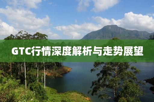 GTC行情深度解析与走势展望