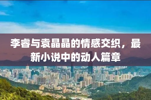 李睿与袁晶晶的情感交织，最新小说中的动人篇章