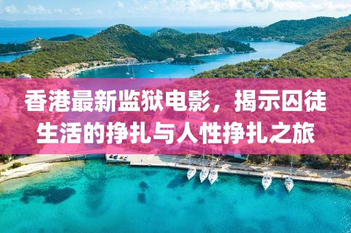 香港最新监狱电影，揭示囚徒生活的挣扎与人性挣扎之旅