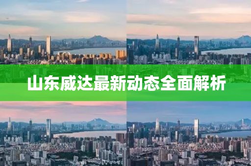 山东威达最新动态全面解析
